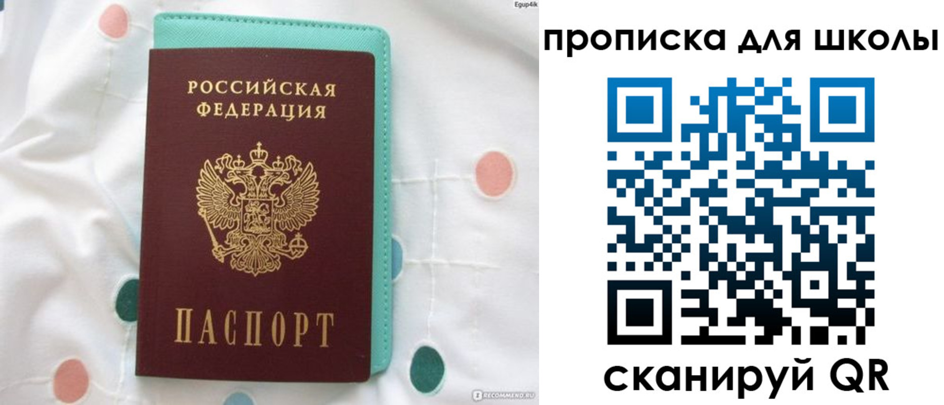 временная регистрация для всех в Химках